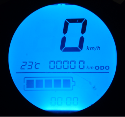 Elektrická skládací koloběžka FLASH RIDER X-I 250 W černá