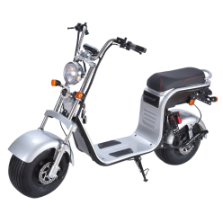 Elektrická koloběžka FLASH RIDER Chopper 2000 W, lithiová baterie 2 × 20 Ah